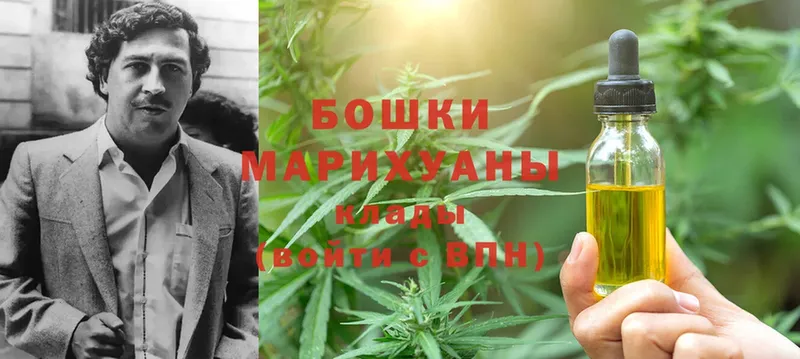 Канабис SATIVA & INDICA  продажа наркотиков  Арсеньев 